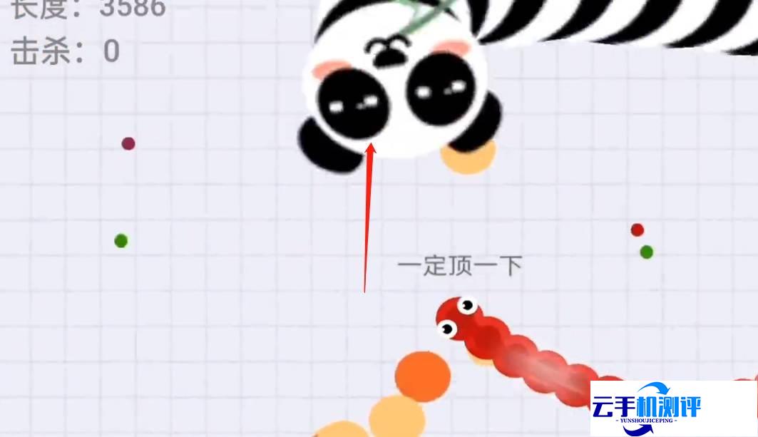 贪吃蛇大作战 吃大蛇技巧攻略